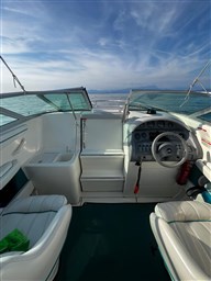 1995 Sea Ray, dovoz Skladom v EÚ — foto 5 z 18