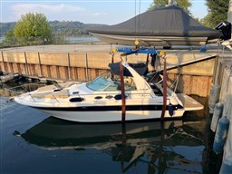 1998 Sea Ray, dovoz Skladom v EÚ — foto 1 | AMECAR 1998 Sea Ray, dovoz Skladom v EÚ — foto 1