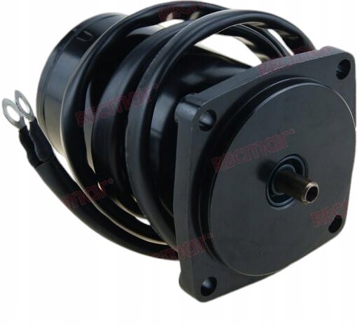 Motor Trymera Suzuki Df40, Df50x-k10 (1999-10) Tmy99-00, Skladom v EÚ — foto 1