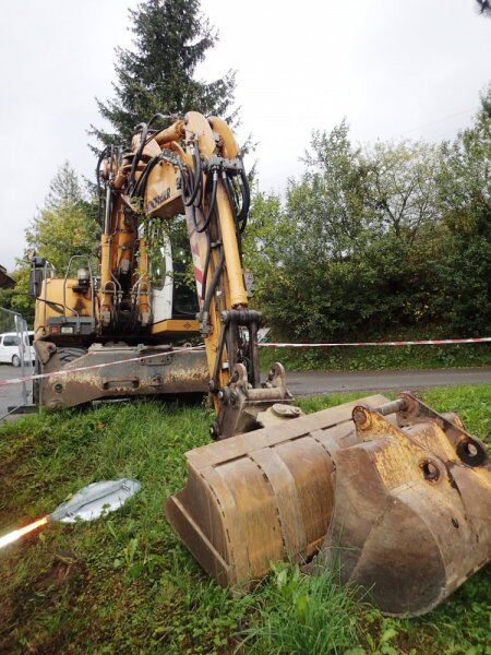 2011 Liebherr, 10 950 mth, dovoz Skladom v EÚ — foto 6 z 16