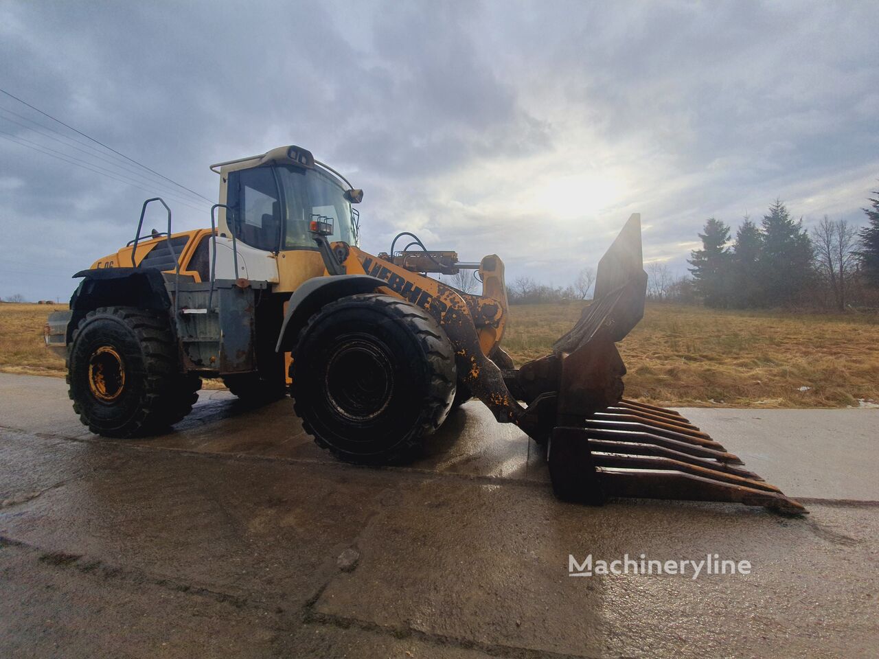 2006 Liebherr L576, dovoz Skladom v EÚ — foto 1