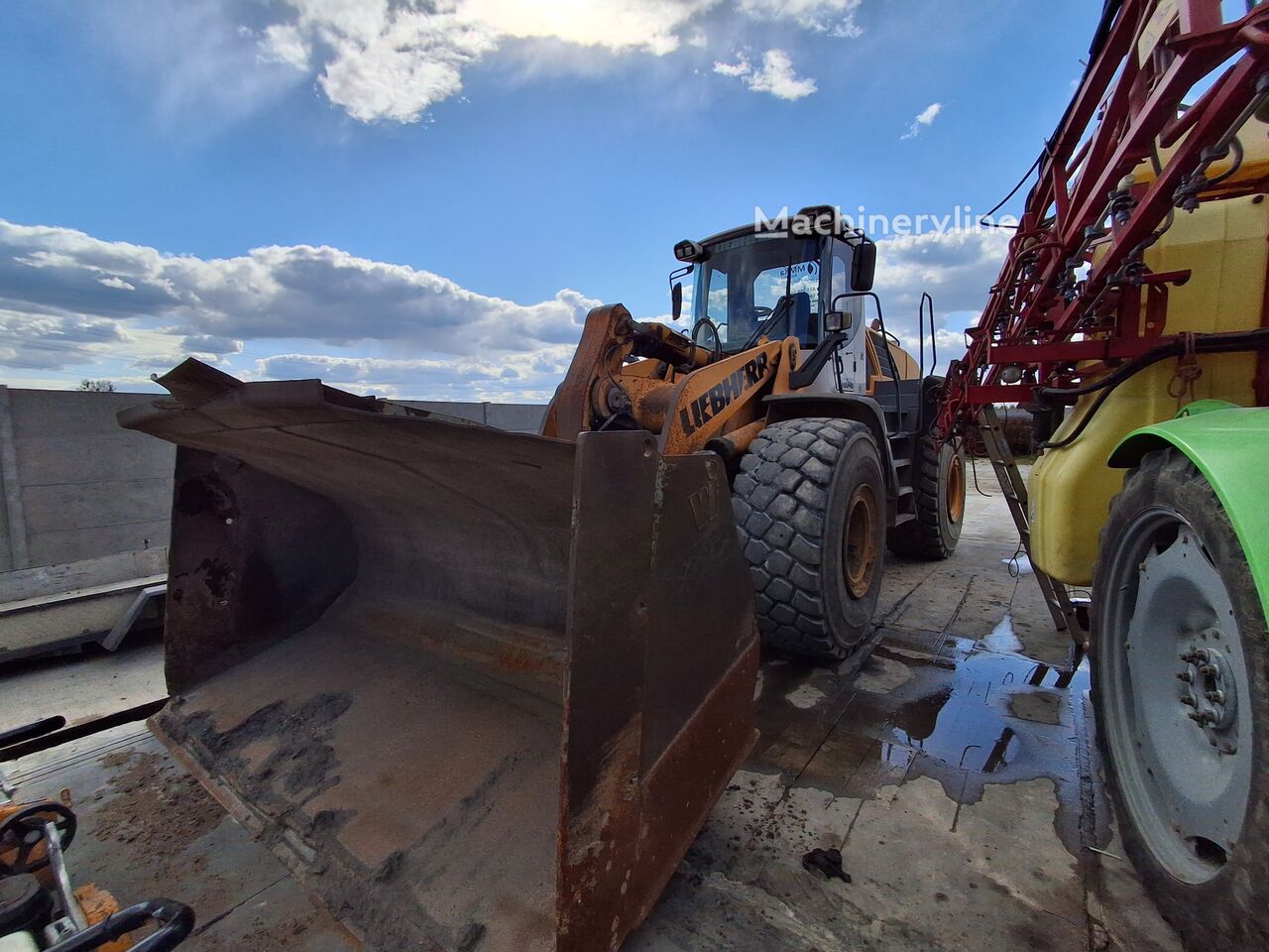 2007 Liebherr L576, dovoz Skladom v EÚ — foto 1