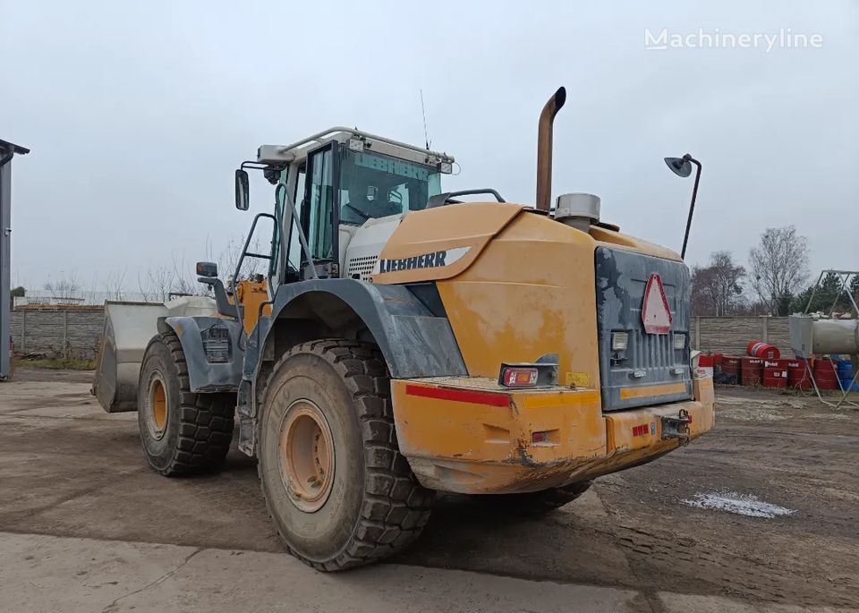 2005 Liebherr L544, 19 200 mth, dovoz Skladom v EÚ — foto 1