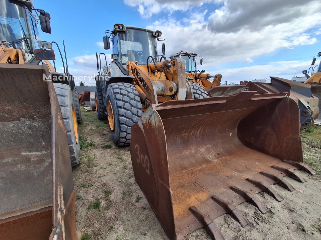 2007 Liebherr, 21 500 mth, dovoz Skladom v EÚ — foto 2 z 7