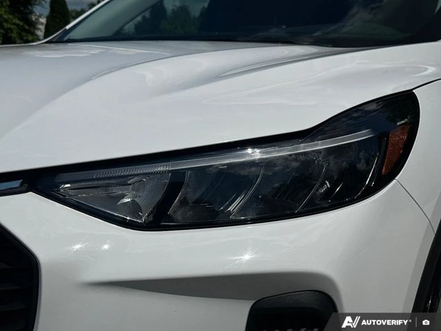 2025 Ford Escape Active, sivá, 53 337 km, dovoz Kanada — foto 13 z 20