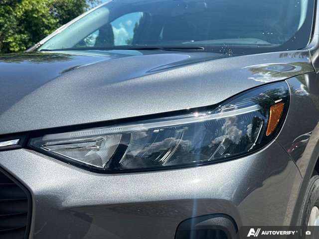2025 Ford Escape Active, sivá, 54 171 km, dovoz Kanada — foto 13 z 20