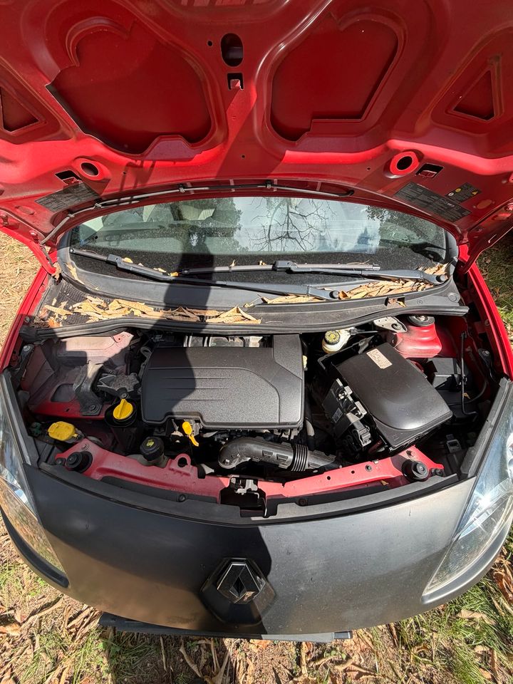 Renault Twingo 1.2 75 PS, Nemecko — foto 9 z 10